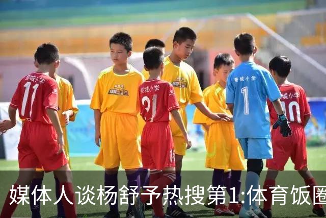 媒体人谈杨舒予热搜第1:体育饭圈化成行业现象