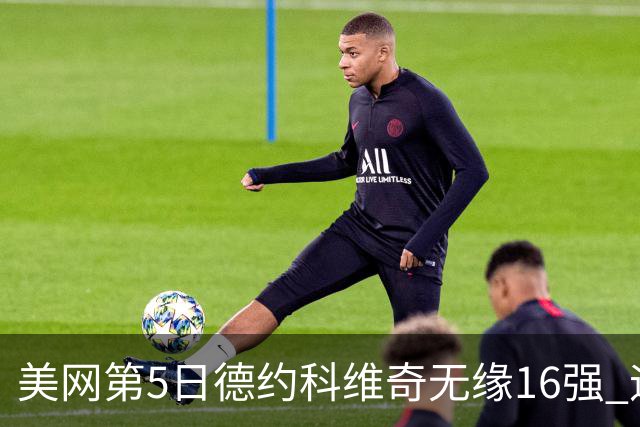 美网第5日德约科维奇无缘16强 迪米卢布列夫会师